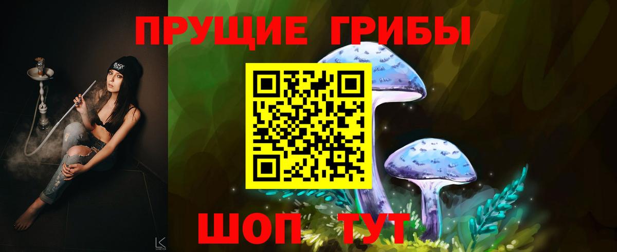 Менделеевск  Псилоцибиновые грибы прущие грибы  Галлюциногенные грибы MAGIC MUSHROOMS  Вход с VPN 